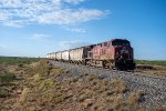 CP 8137